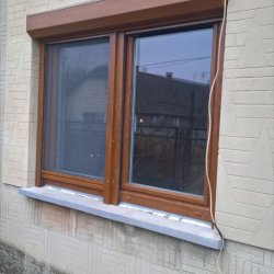 palfa